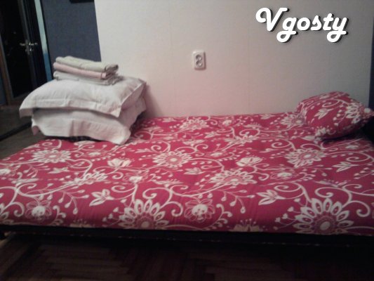 Fast and affordable rental apartments. In the city center - Apartments for daily rent from owners - Vgosty