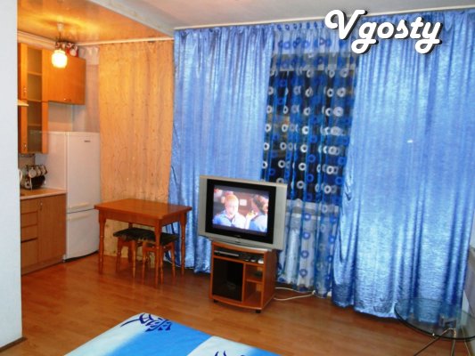 One-room apartment . AMENITIES : - Fold-out sofa - - Apartments for daily rent from owners - Vgosty