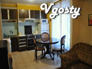 One bedroom spacious apartment in Dnepropetrovsk Rent - Apartments for daily rent from owners - Vgosty