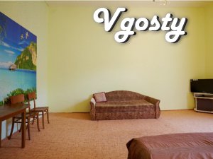 Spacious studio apartment in the city center - Apartments for daily rent from owners - Vgosty