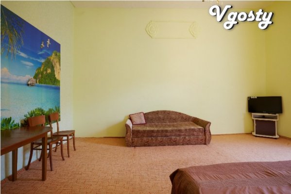 Spacious studio apartment in the city center - Apartments for daily rent from owners - Vgosty