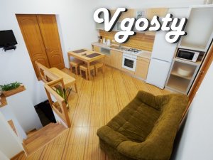 VIP apartment in the center of the city - Apartments for daily rent from owners - Vgosty