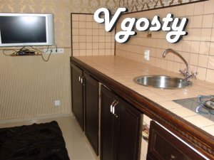For rent luxury apartment. Located in the new - Apartments for daily rent from owners - Vgosty