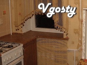 Cozy apartment for 2 guests, the hotel is located near the - Apartments for daily rent from owners - Vgosty