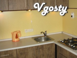 At your service the large three-bedroom apartment - Apartments for daily rent from owners - Vgosty