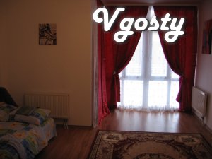 One bedroom apartment in a new house on the street. Maxim Krivonos - Apartments for daily rent from owners - Vgosty