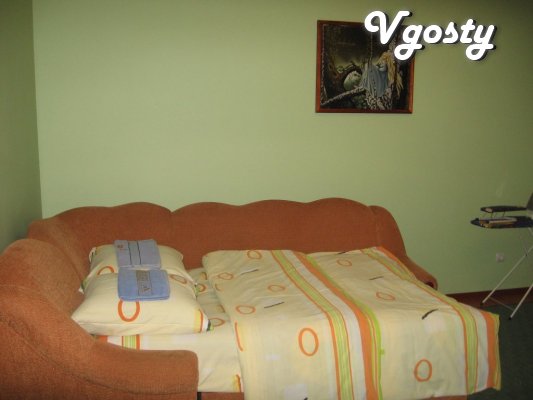 Spacious, comfortable apartment, located near the - Apartments for daily rent from owners - Vgosty
