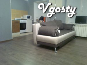 1 bedroom apartment for rent. A cozy apartment with a good - Apartments for daily rent from owners - Vgosty