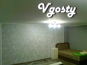 1 bedroom apartment for rent. A cozy apartment with a good - Apartments for daily rent from owners - Vgosty