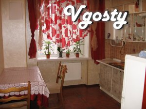 Spacious, comfortable apartment, located near the - Apartments for daily rent from owners - Vgosty