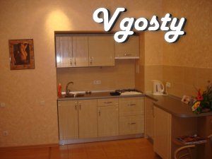 Good uyutnayakvartira. - Apartments for daily rent from owners - Vgosty
