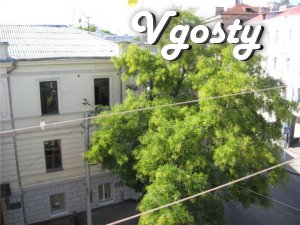 Daily. 2 bedroom apartment, Downtown, Lenin str. - Apartments for daily rent from owners - Vgosty
