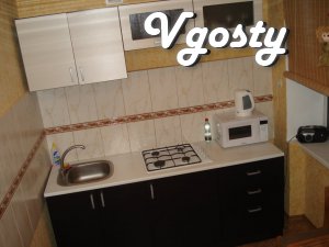 Rent daily, hourly one-room apartment with the euro - Apartments for daily rent from owners - Vgosty