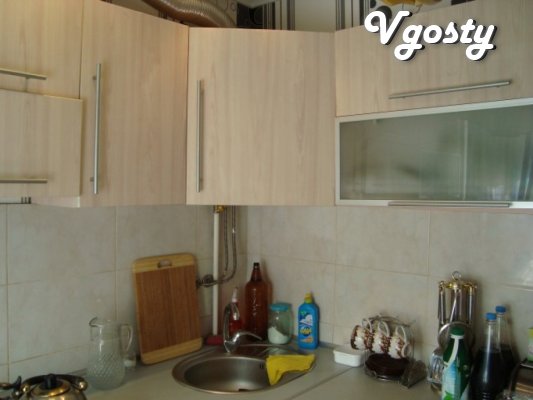 2-bedroom apartment, which has everything for a comfortable - Apartments for daily rent from owners - Vgosty