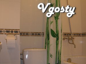 Beautiful studio apartment with a fresh renovated, new - Apartments for daily rent from owners - Vgosty