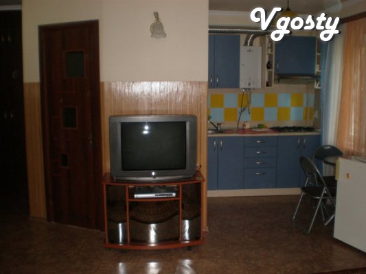 Rent by the day , and hourly flat renovated, studio on - Apartments for daily rent from owners - Vgosty