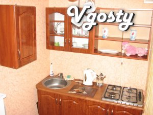 city ??center , 15 minutes - Apartments for daily rent from owners - Vgosty