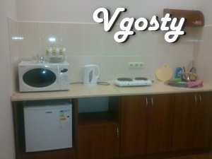 I rent a room in their fiesta. There are all necessary for - Apartments for daily rent from owners - Vgosty
