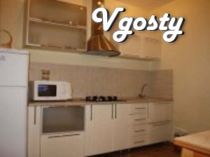 Its a great apartment in the center of Zhitomir, a great - Apartments for daily rent from owners - Vgosty