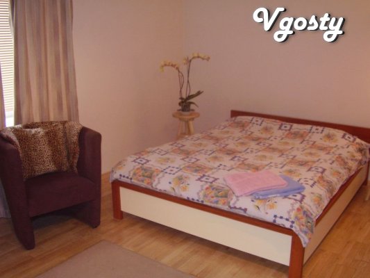 Renovation, a double bed. Near Metro Station - Apartments for daily rent from owners - Vgosty