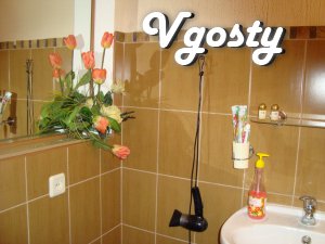 Apartment in the city center. - Apartments for daily rent from owners - Vgosty