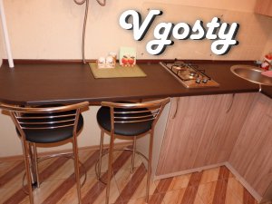 The apartment is near the McDonalds, clean and comfortable, 4 bedroom - Apartments for daily rent from owners - Vgosty