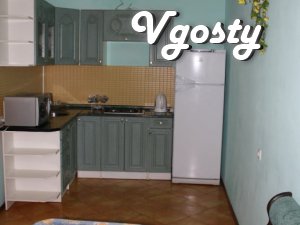 Rent one 3h.kom. sq. m. University Center - Apartments for daily rent from owners - Vgosty
