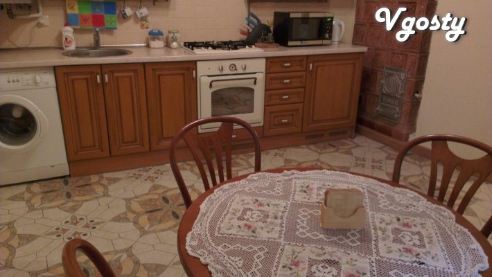 apartment in the city center near Virmenskoho church. - Apartments for daily rent from owners - Vgosty