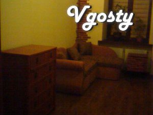 One bedroom flat in the center of the city. - Apartments for daily rent from owners - Vgosty