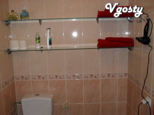 Cozy and comfortable apartment in the center of Lviv! Did you enjoy yo - Apartments for daily rent from owners - Vgosty
