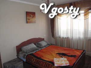 Independence Nezalezhnosti.Chistaya, cozy apartment. - Apartments for daily rent from owners - Vgosty