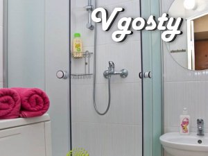 Rent one 2-k.kv.Tsentr! M.Vokzalnaya, Wi-Fi Internet. - Apartments for daily rent from owners - Vgosty