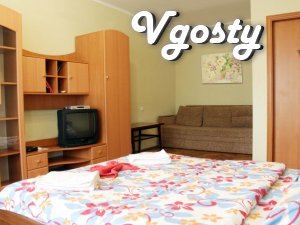 One bedroom apartment, center, Bessarabian market, Basin - Apartments for daily rent from owners - Vgosty