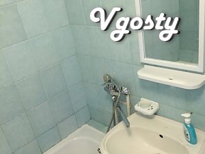One bedroom apartment, center, Palace of Sports, Shelkovichnaya - Apartments for daily rent from owners - Vgosty
