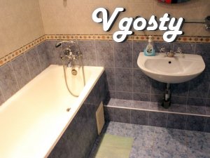 One-bedroom apartment, Center, Sports Palace, Lesia Ukrainka, - Apartments for daily rent from owners - Vgosty