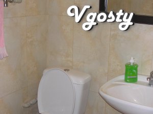 1 room. apartment for 2 min. from Deribasovskaya - Apartments for daily rent from owners - Vgosty