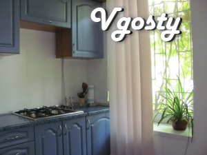 Rent 2 BR. street. Pushkin - Apartments for daily rent from owners - Vgosty