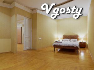 One room apartment in the heart of the city - Apartments for daily rent from owners - Vgosty