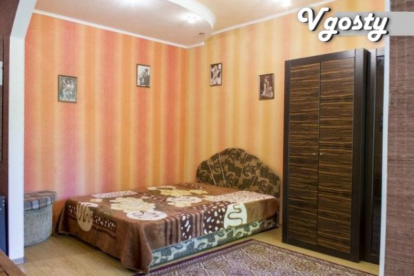 Wynajmij jeden 1 k m. 3 minuty od Pushkinskaya - Mieszkania do wynajęcia przez właściciela - Vgosty