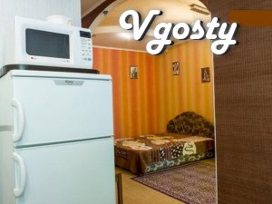 Rent one to 1. M. 3 minutes from the metro. Pushkinskaya - Apartments for daily rent from owners - Vgosty