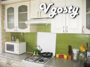 Rent 2 BR. apartment on the Donets, 7 (Otradnyj) Daily - Apartments for daily rent from owners - Vgosty