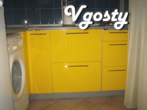 Well-groomed, clean, comfortable and warm apartment in the center - Apartments for daily rent from owners - Vgosty