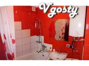 Apartment for rent (180 USD) and hourly (30grn/chas (not less than - Apartments for daily rent from owners - Vgosty