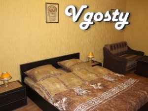 Apartment for rent (180 USD) and hourly (30grn/chas (not less than - Apartments for daily rent from owners - Vgosty
