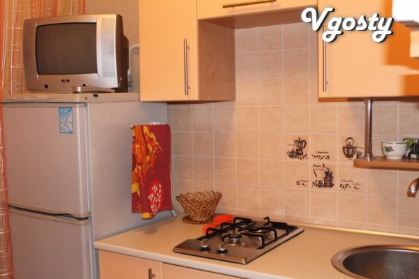 Appartamento in affitto (180 USD) e ogni ora (30grn/chas (non inferior - Appartamenti in affitto dal proprietario - Vgosty