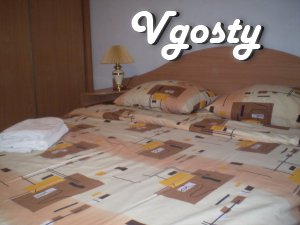 One bedroom apartment with a nice renovated. - Apartments for daily rent from owners - Vgosty