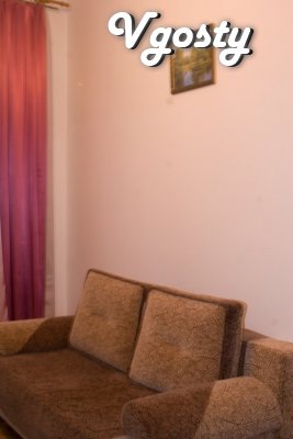 Spacious one bedroom apartment located in the city center - Apartments for daily rent from owners - Vgosty