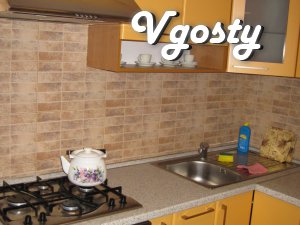 Luxury apartment. - Apartments for daily rent from owners - Vgosty