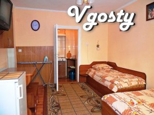 Flat for rent in Morshyn - Apartments for daily rent from owners - Vgosty