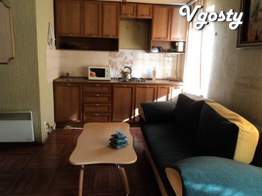 Accogliente appartamento monolocale - studio, situato sulla - Appartamenti in affitto dal proprietario - Vgosty